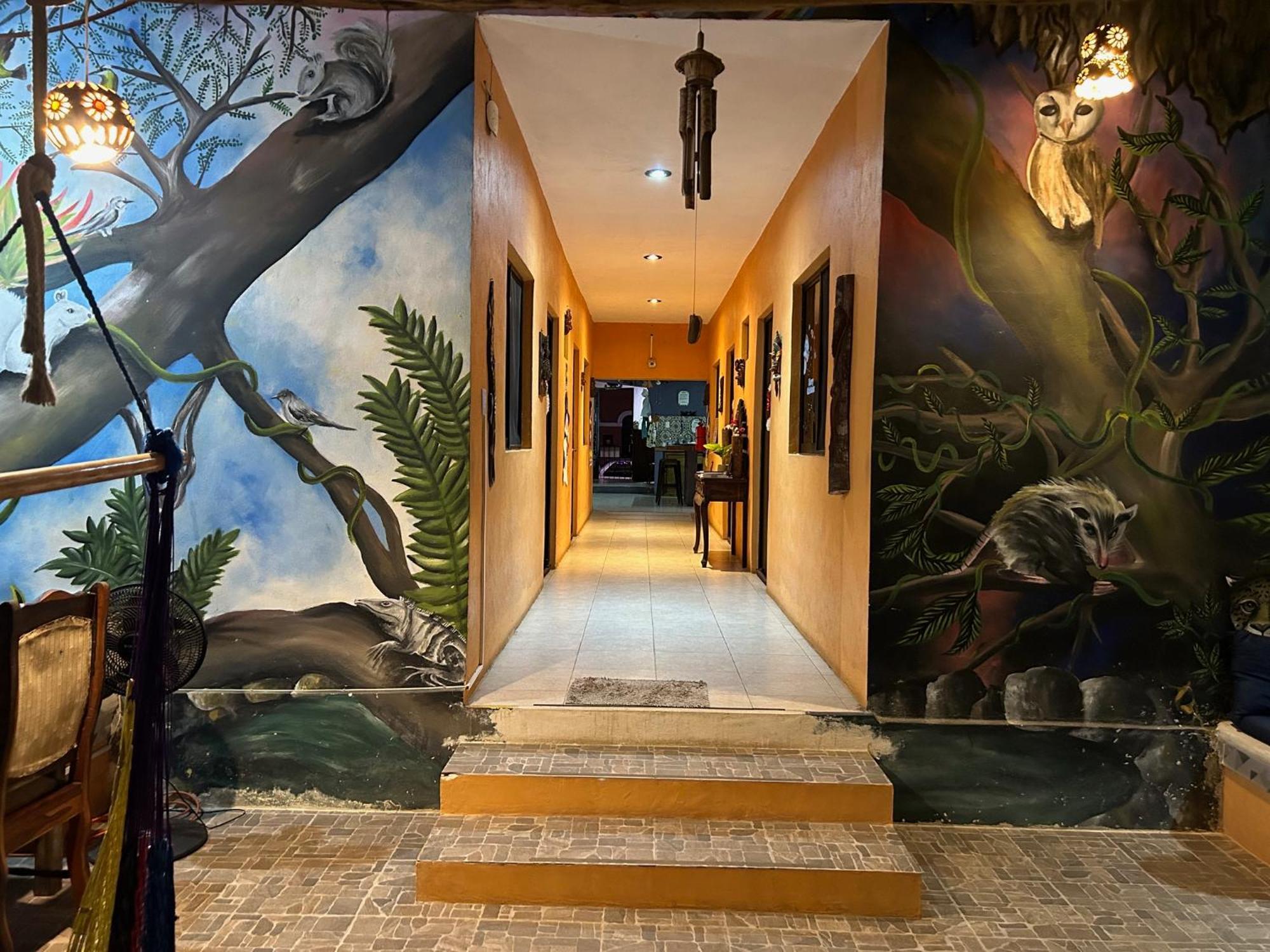Hostel Casa Xtakay Valladolid  Bagian luar foto